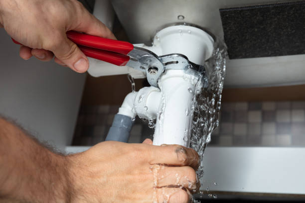 Best Water damage cleanup near me  in Cohoe, AK