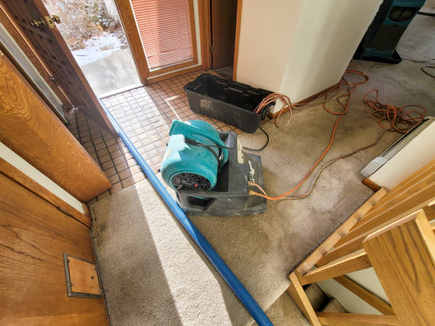 Best Professional water damage repair  in Cohoe, AK