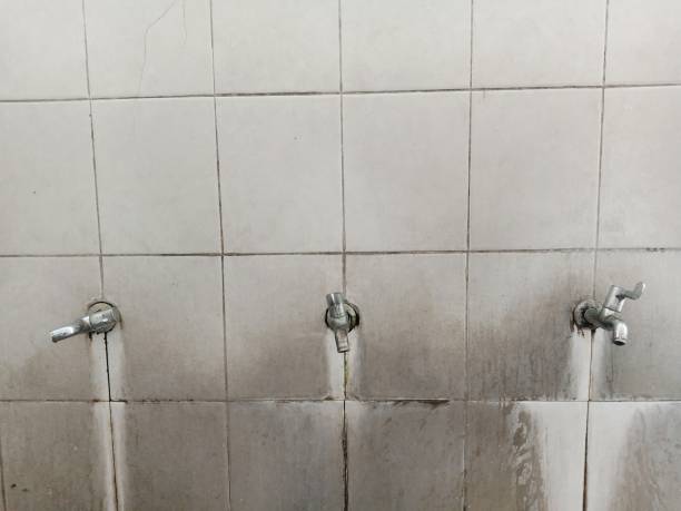 Best Sewage cleanup and water damage restoration  in Cohoe, AK
